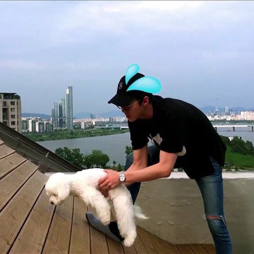 セフンの愛犬ビビの犬種は 画像や動画がかわいすぎて癒される 韓流diary